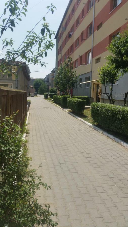 Апартаменти Sfanta Ecaterina - Garsoniera Алба-Юлія Екстер'єр фото